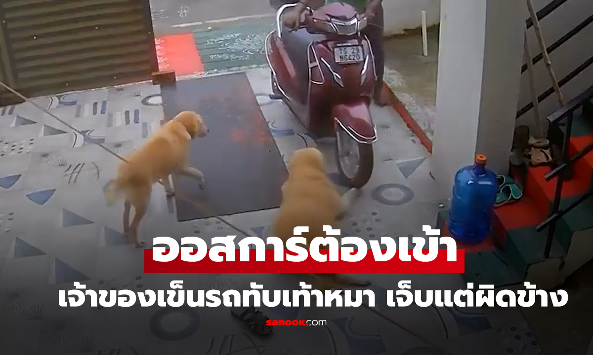 คลิป ออสการ์ต้องเข้า 