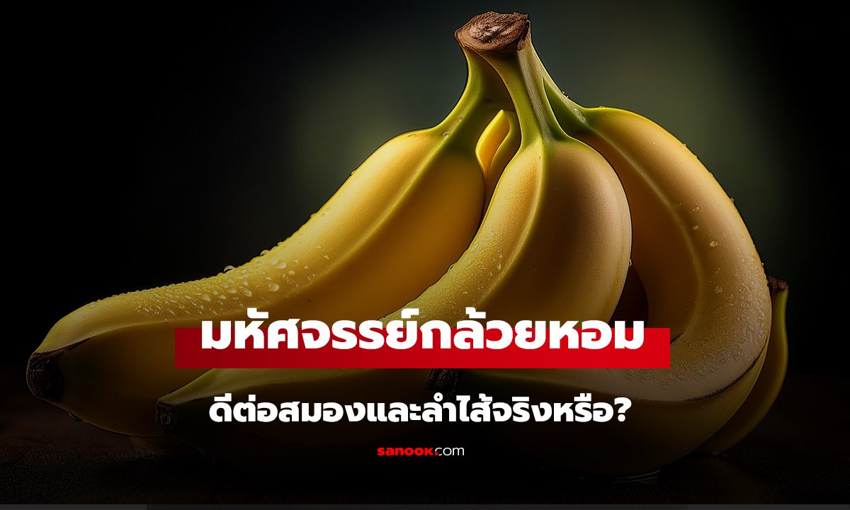 กล้วยหอม มหัศจรรย์ผลไม้ใกล้ตัว ดีต่อสมองและลำไส้จริงหรือ? กูรูชี้เรื่องที่น้อยคนรู้!