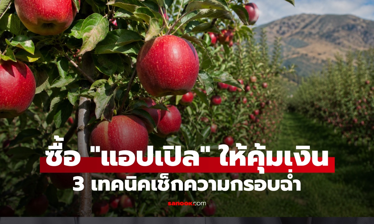 ซื้อ 