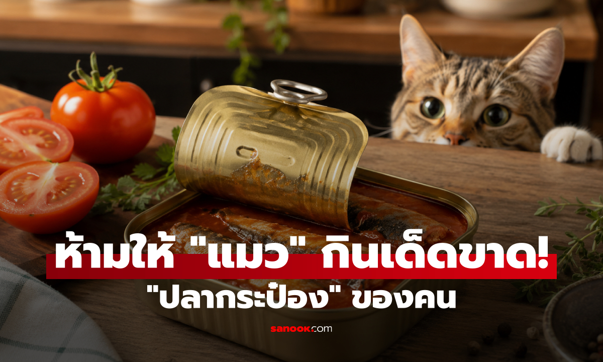 ห้ามให้ 