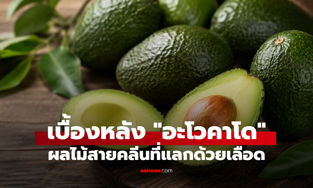 เบื้องหลัง 