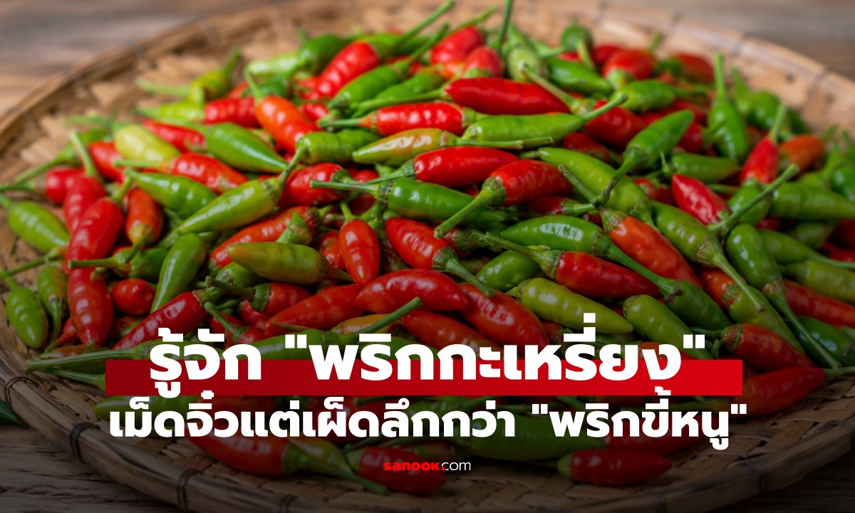 รู้จัก 