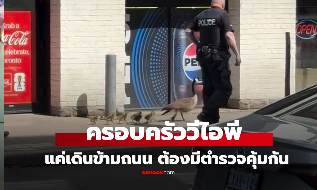 คลิป น่ารักเกินต้านทานแค่เดินข้ามถนน ต้องมีตำรวจคุ้มกัน
