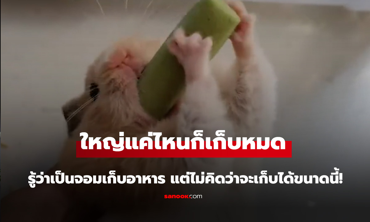 ใหญ่แค่ไหนก็เก็บหมด!  เพิ่งรู้ในแก้มอ้วนมีพื้นที่ขนาดนี้