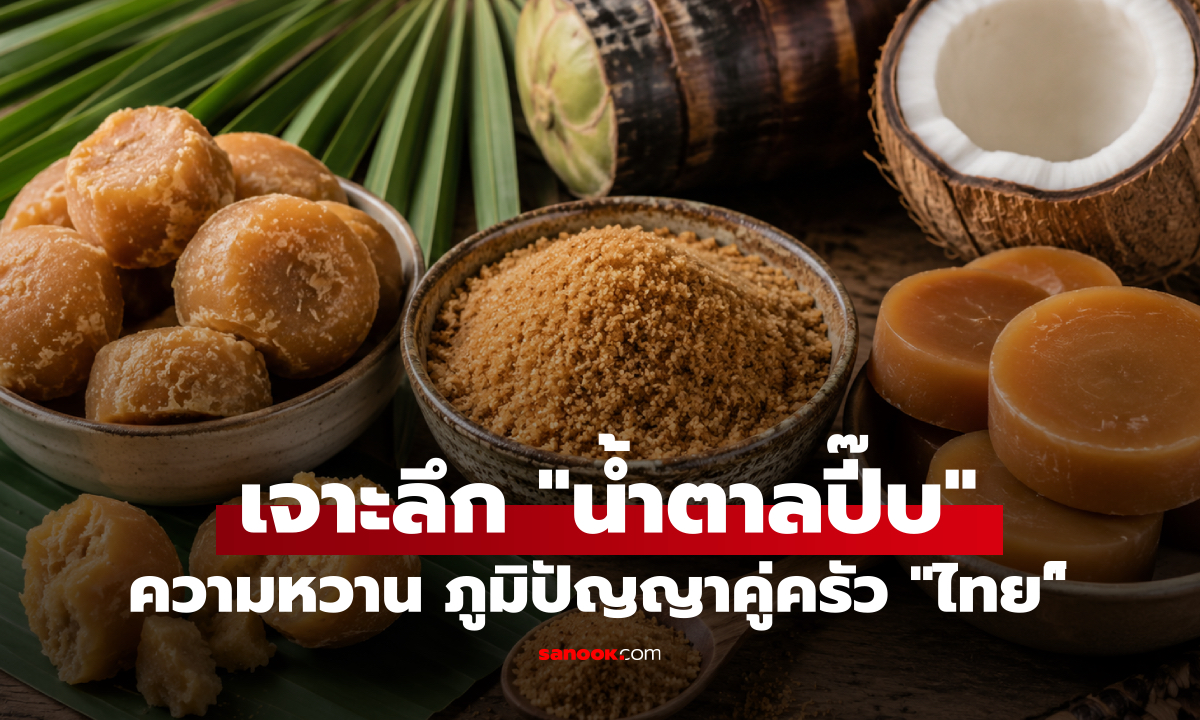 เจาะลึก 