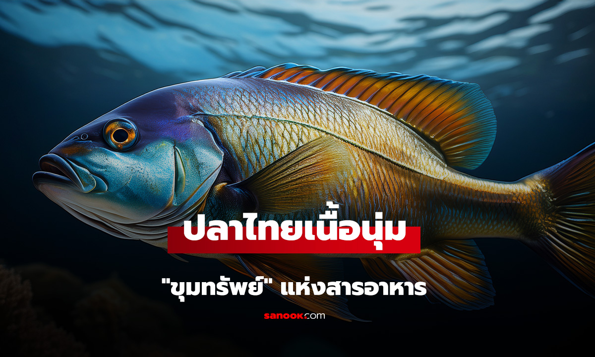 รู้ไหม? ไทยมีปลาเนื้อนุ่ม 
