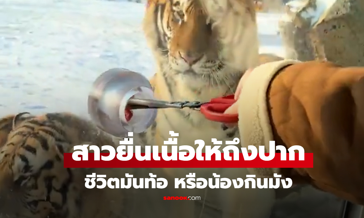 คลิป 