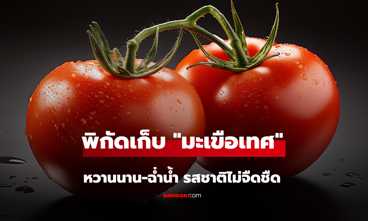 ไม่ใช่ตู้เย็น! เปิดพิกัดเก็บ 