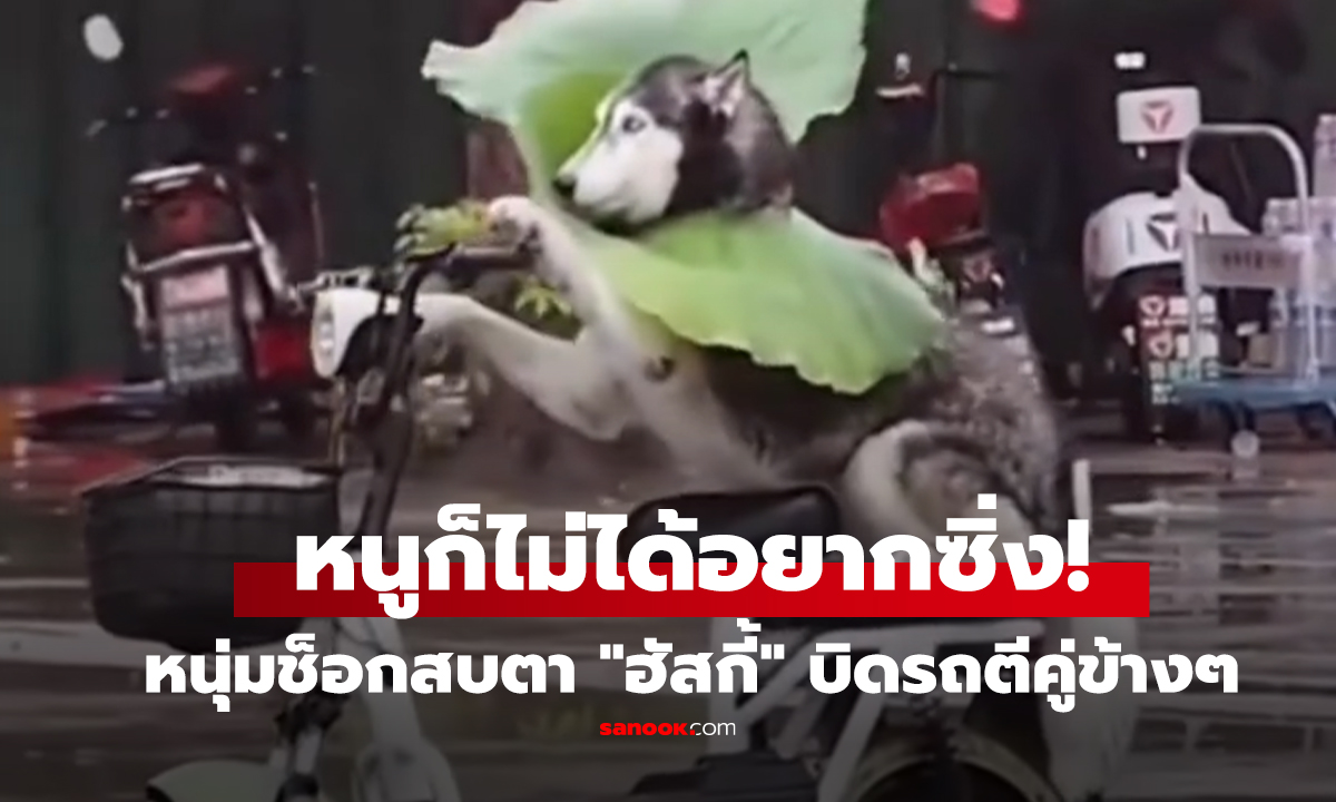 คลิป หนูก็ไม่ได้อยาก 