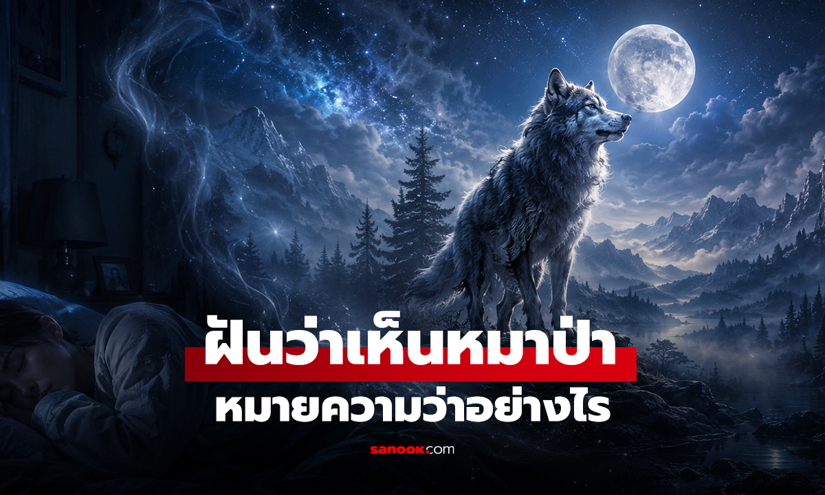 ฝันว่าเห็นหมาป่า หมายความว่าอย่างไร พร้อมเลขให้โชค