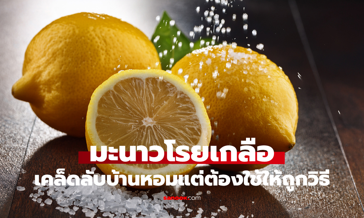 มะนาวโรยเกลือในห้อง ช่วยอะไรได้จริง?