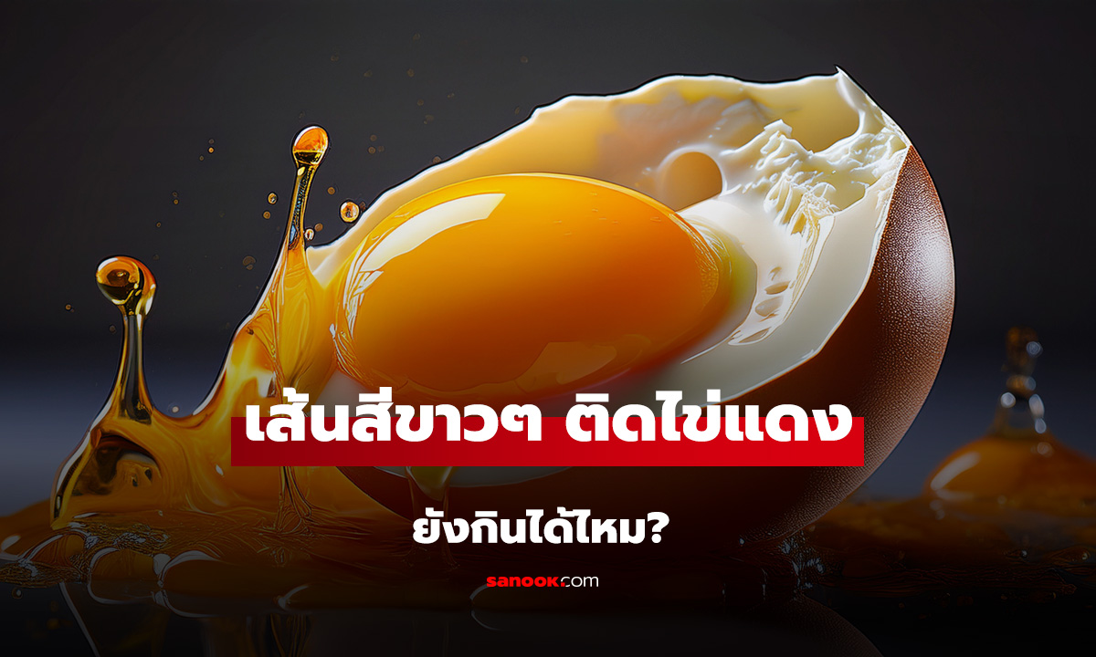 ตอกเจอเส้นสีขาวๆ ติดไข่แดง ยังกินได้ไหม? ชวนรู้จักสัญญาณที่หลายคนเข้าใจผิด!