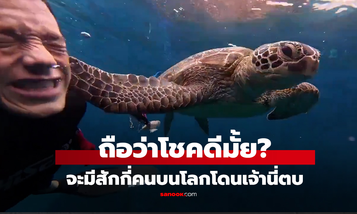 คลิป แต้มบุญหรือกรรม? วินาทีโดน 