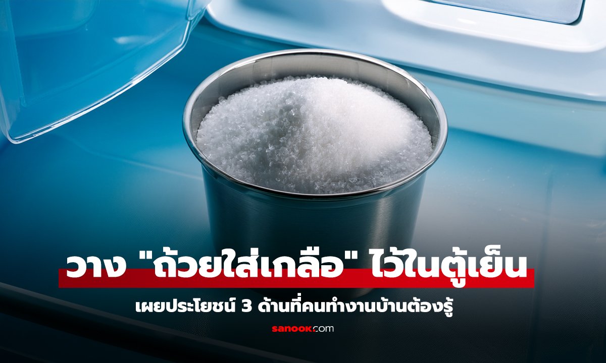 ทำไมควรวาง ถ้วยใส่เกลือ ไว้ในตู้เย็น