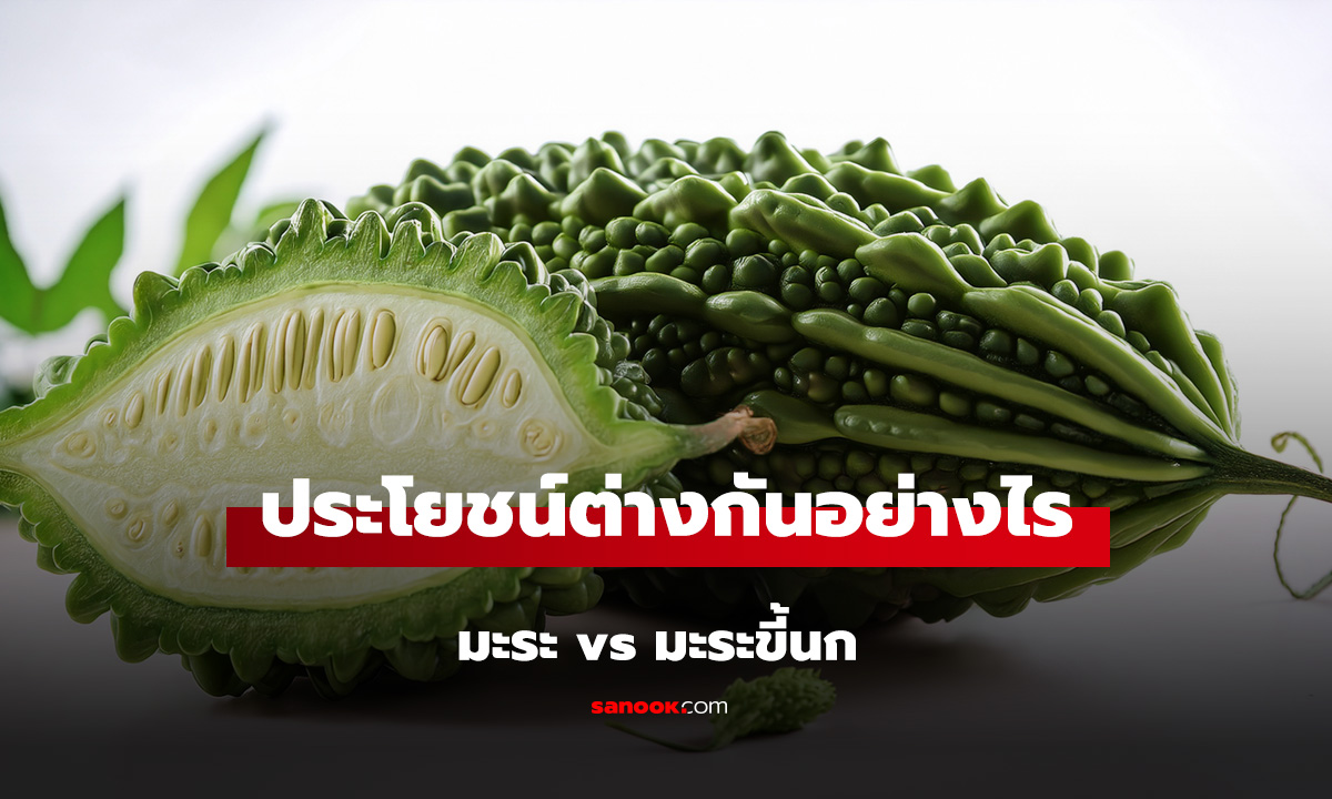 มะระ vs มะระขี้นก ประโยชน์ต่างกันอย่างไร กินแบบไหนดีกว่ากัน?