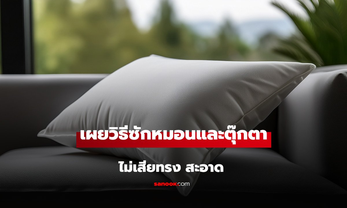 วิธีซักหมอนและซักตุ๊กตาให้สะอาด ไม่เสียทรง หมอนโดเรมอนก็ทำได้นะ