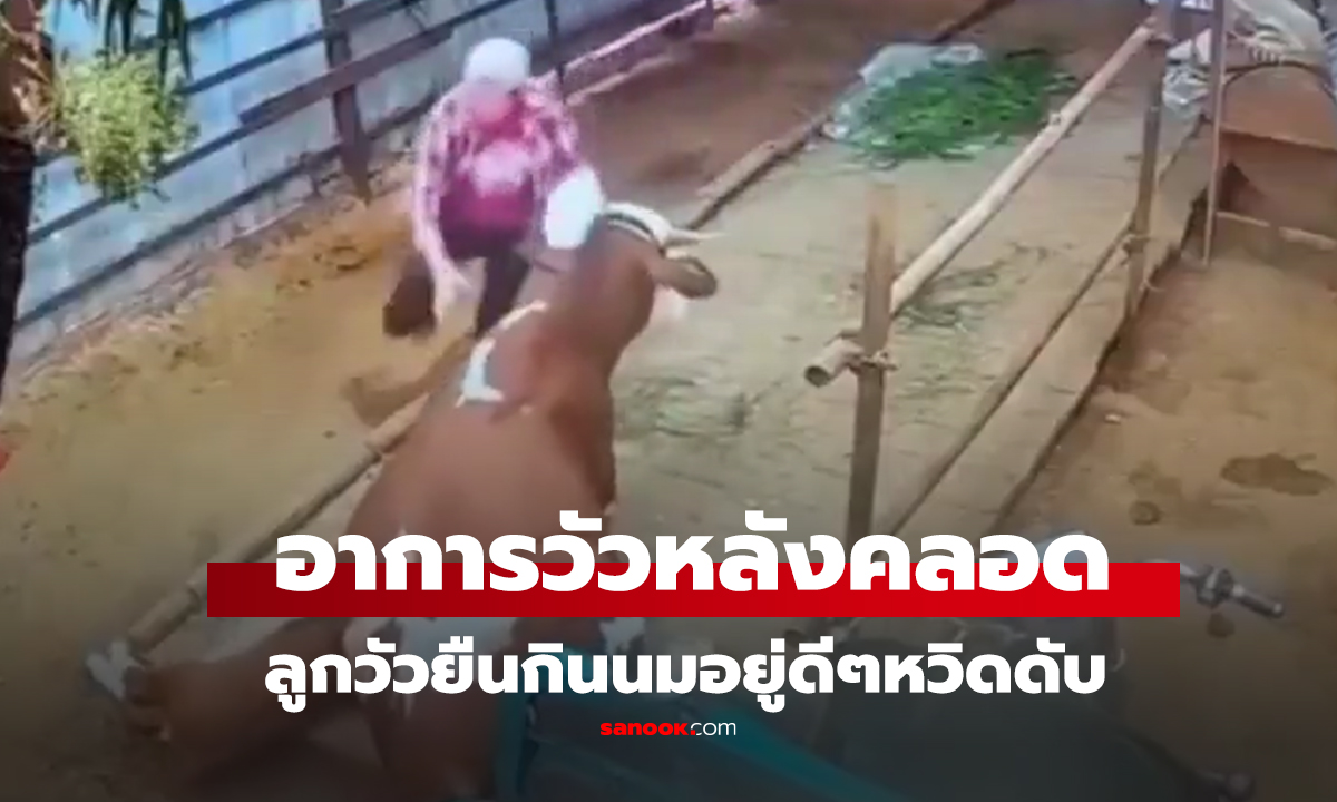 คลิป สยอง 
