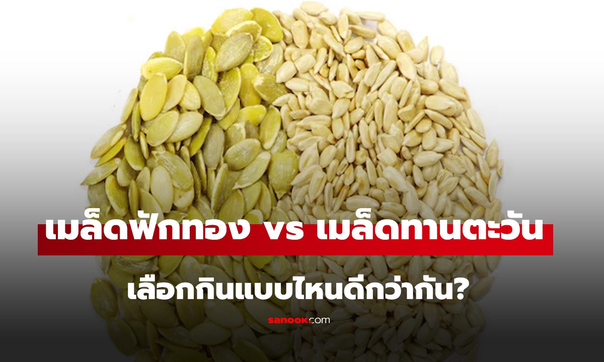 เมล็ดฟักทอง vs เมล็ดทานตะวัน เทียบประโยชน์สารอาหาร เลือกกินแบบไหนดีกว่ากัน?