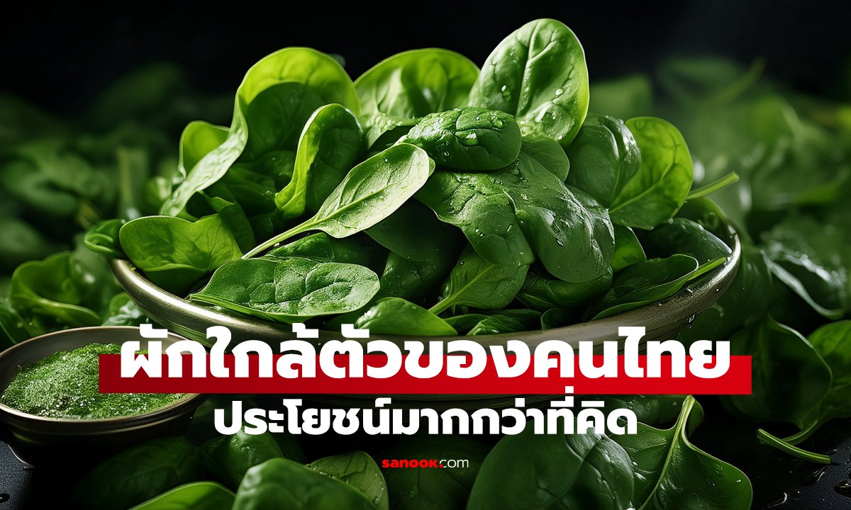 ผักหลักสิบ แต่คุณค่าสูง ตำราจีนยกยาอายุวัฒนะ