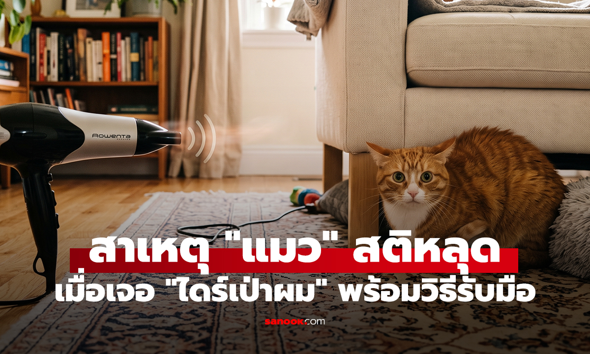 สาเหตุ 