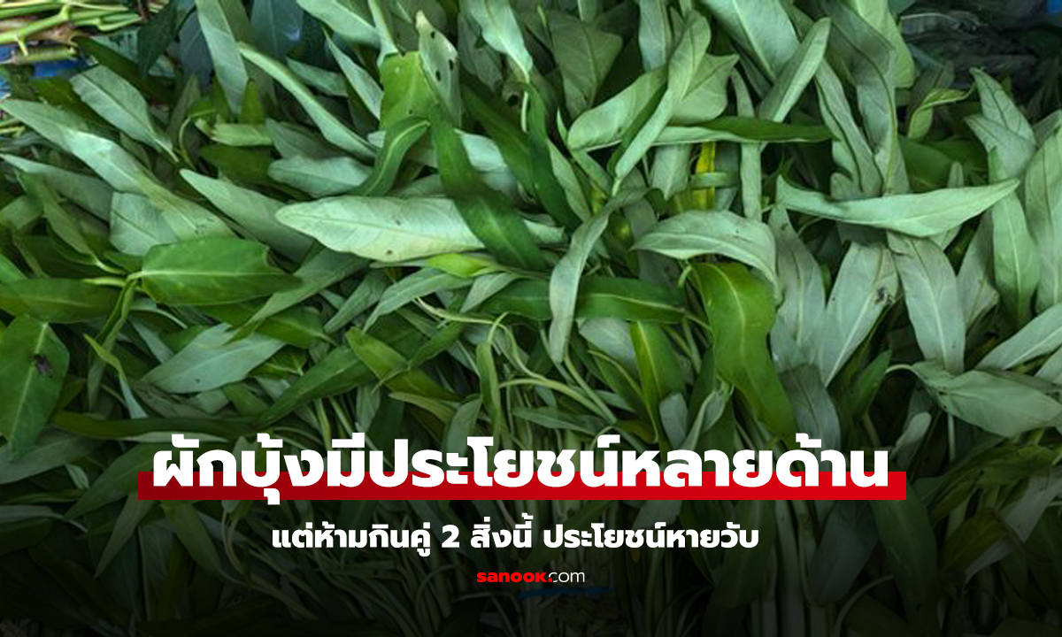 ผักบุ้งมีแคลเซียมจริง แต่ 2 ข้อห้ามที่แชร์กัน จริงหรือไม่