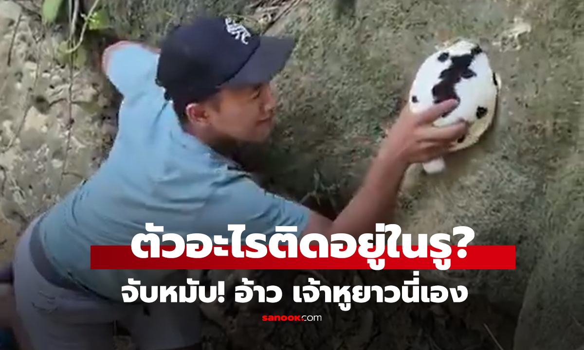 คลิป 