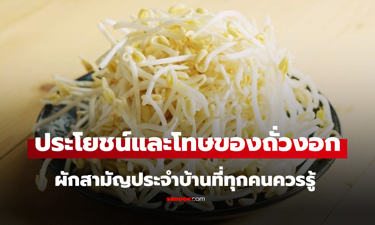 กินถั่วงอกประจำ จะเกิดอะไรขึ้นกับร่างกาย? ผักสามัญประจำบ้าน มีทั้งประโยชน์และโทษ