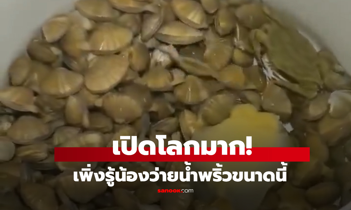 คลิป เพิ่งรู้น้องว่ายน้ำพริ้วขนาดนี้ เปิดโลก 