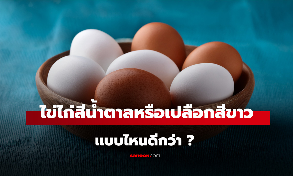 ไข่ไก่เปลือกสีน้ำตาล vs เปลือกสีขาว ต่างกันอย่างไร เลือกแบบไหนดีกว่ากัน?