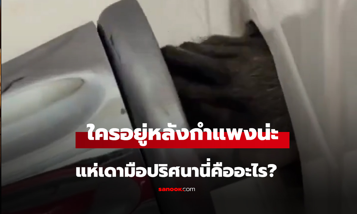 ใครอยู่หลังกำแพงน่ะ แห่เดามือปริศนานี่คืออะไร