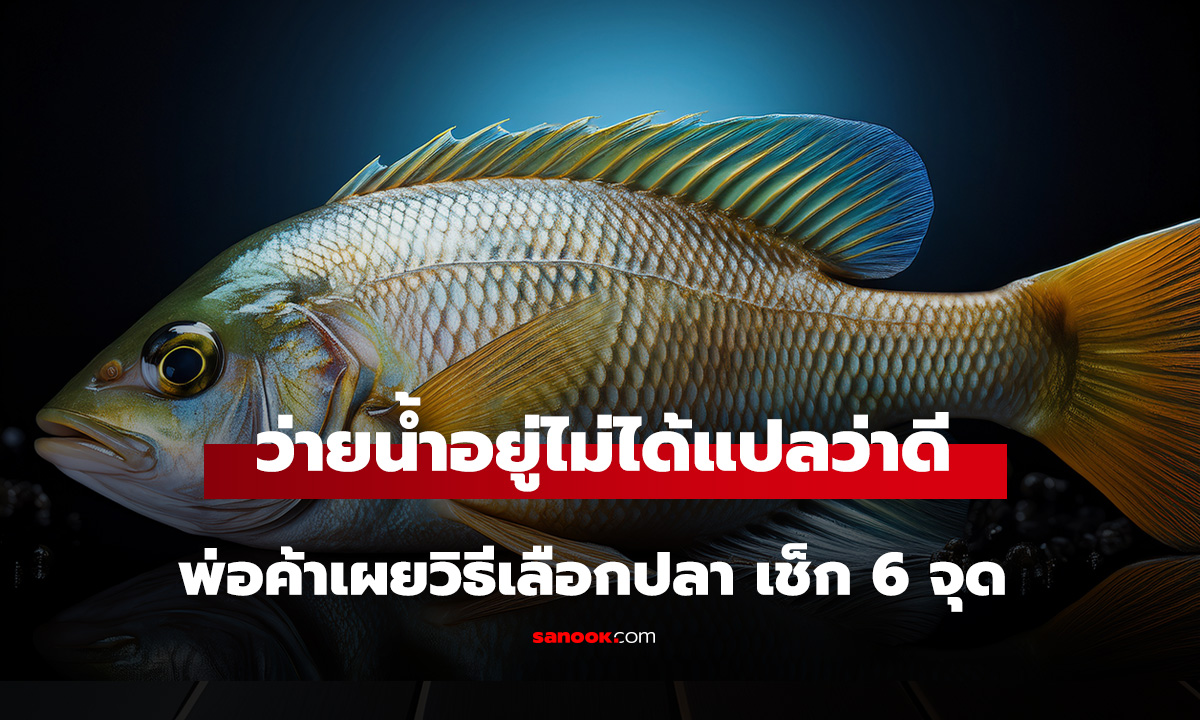 ยังว่ายน้ำอยู่ไม่ได้แปลว่าดี! พ่อค้าเผยวิธีเลือกปลา เช็ก 6 จุดนี้ก่อนซื้อ ได้ปลาสด เนื้อแน่น