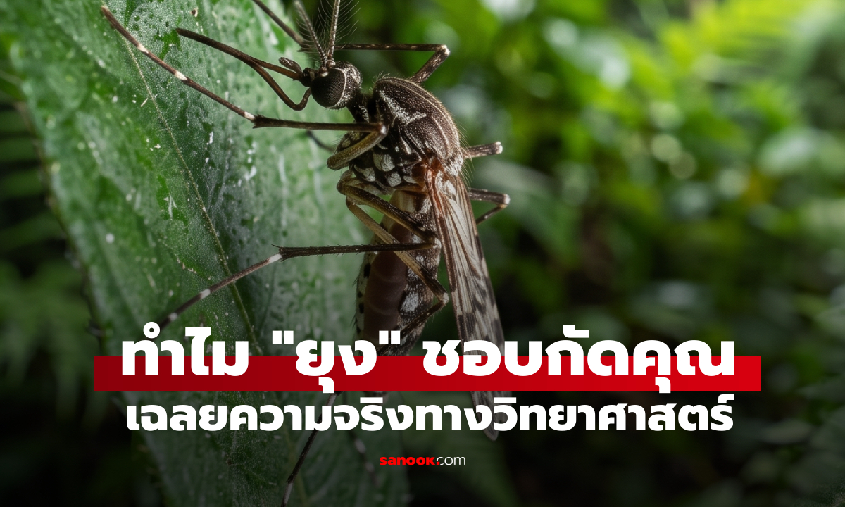 ทำไม 