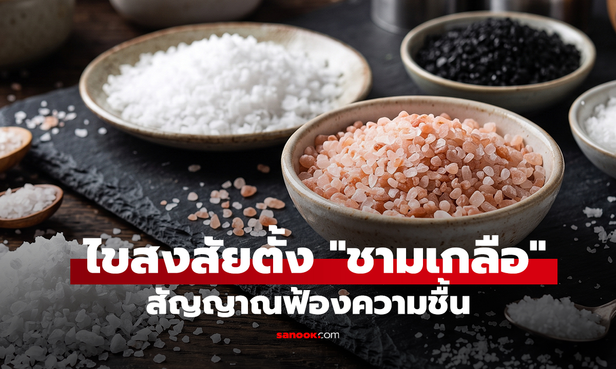 ไขสงสัยตั้ง 