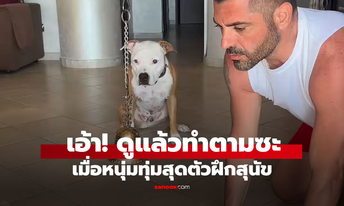 คลิป วิธีฝึก 