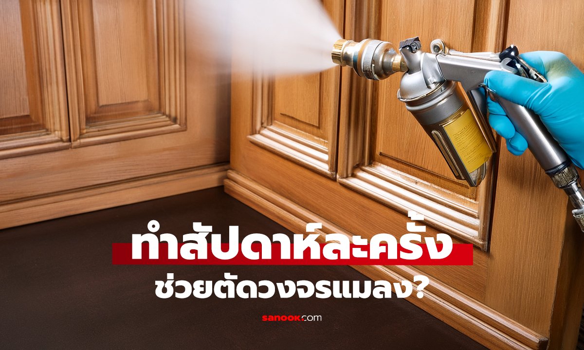 ฉีดน้ำส้มสายชูรอบประตู ช่วยอะไรได้บ้าง?