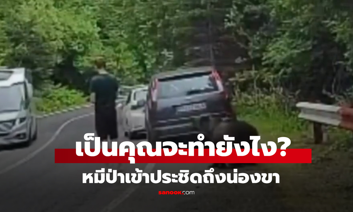 คลิป เผชิญหน้า 