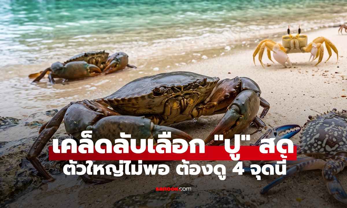 เคล็ดลับเลือก 