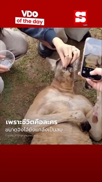 คลิป ชีวิตยิ่งกว่าละคร 