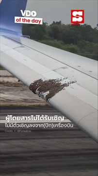 คลิป ปีก 