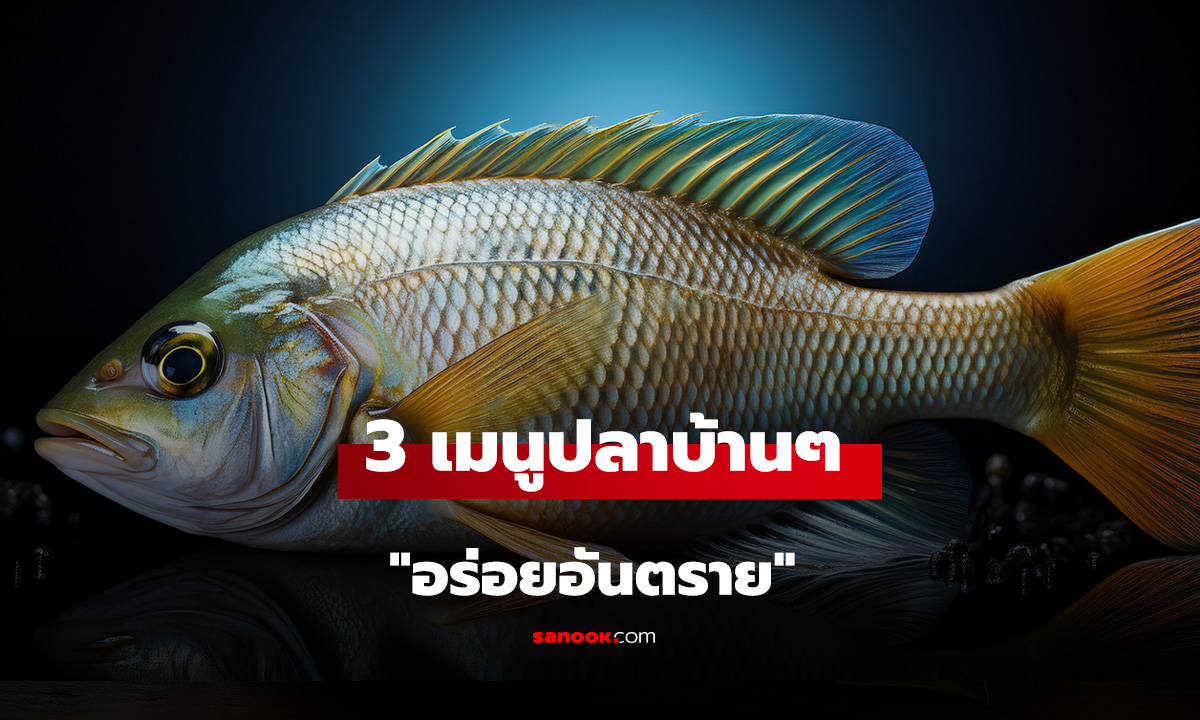 เตือนแล้วนะ! 3 เมนูปลาบ้านๆ 