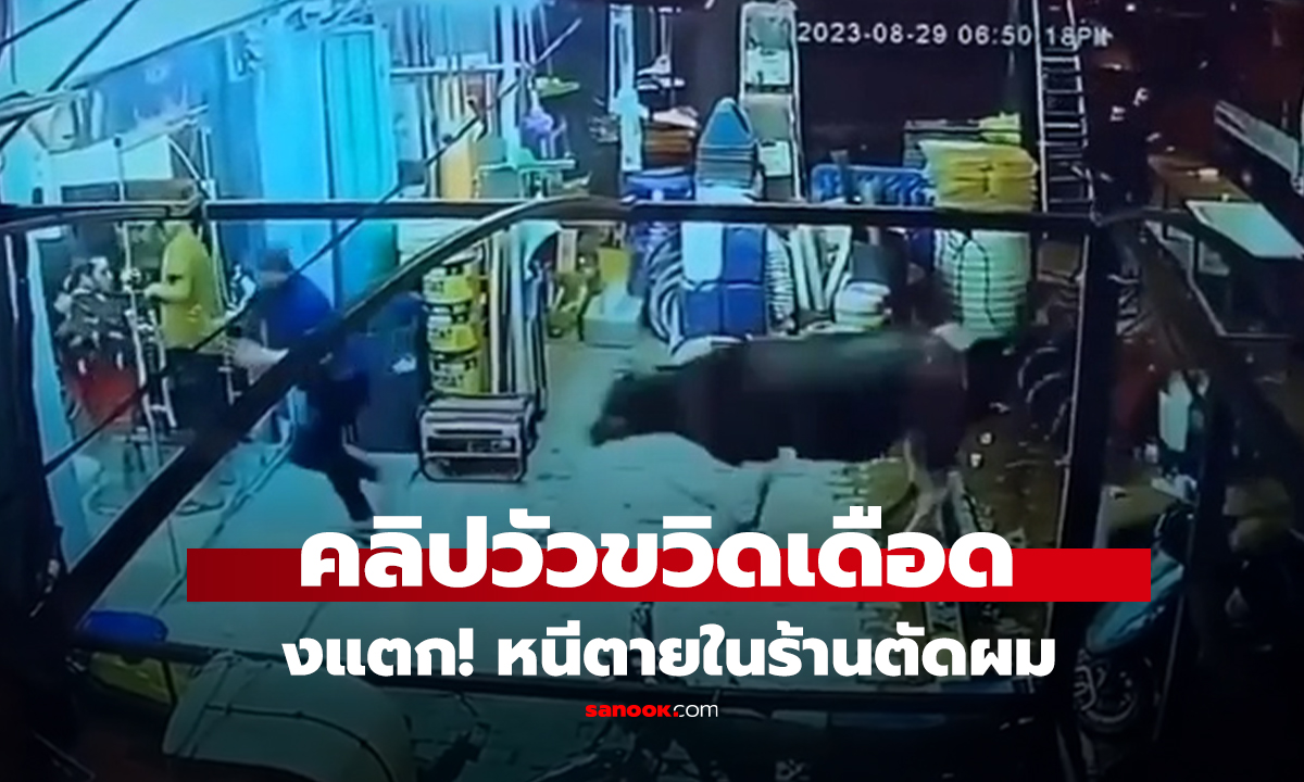 คลิป ระทึก 