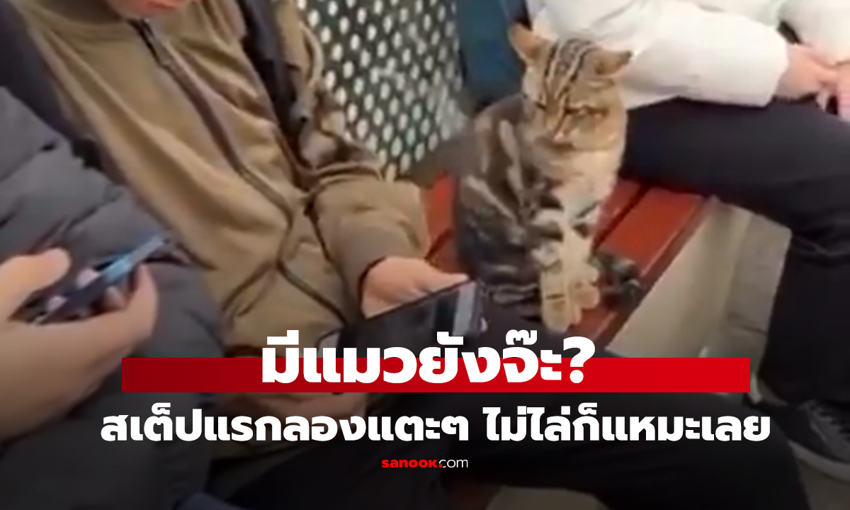คลิป แผนสูงจริง 