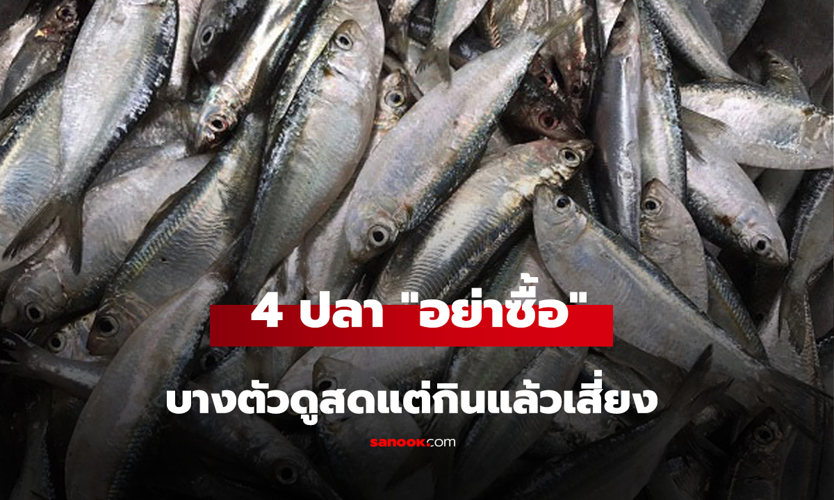 แม่ค้าเตือนเอง 4 ปลา 