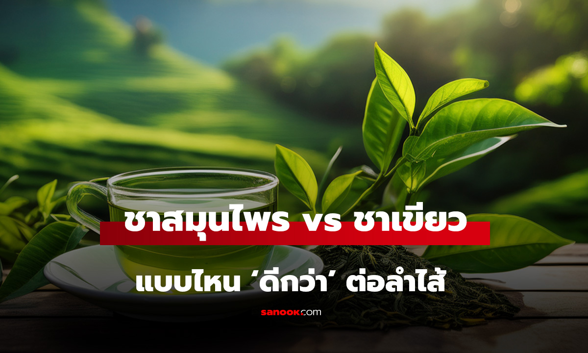 ชาสมุนไพร vs ชาเขียว แบบไหน ‘ดีกว่า’ ต่อลำไส้-ต้านอนุมูลอิสระ? เฉลยศึกเครื่องดื่มสุขภาพ!