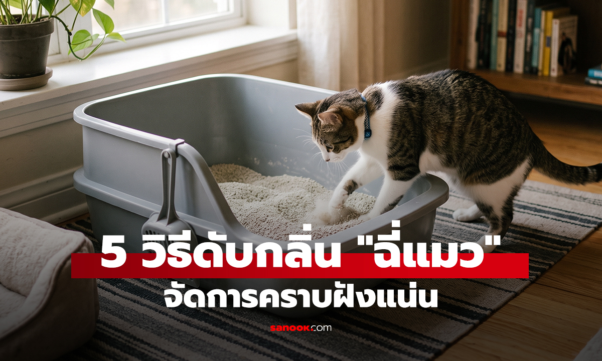 5 วิธีดับกลิ่น 