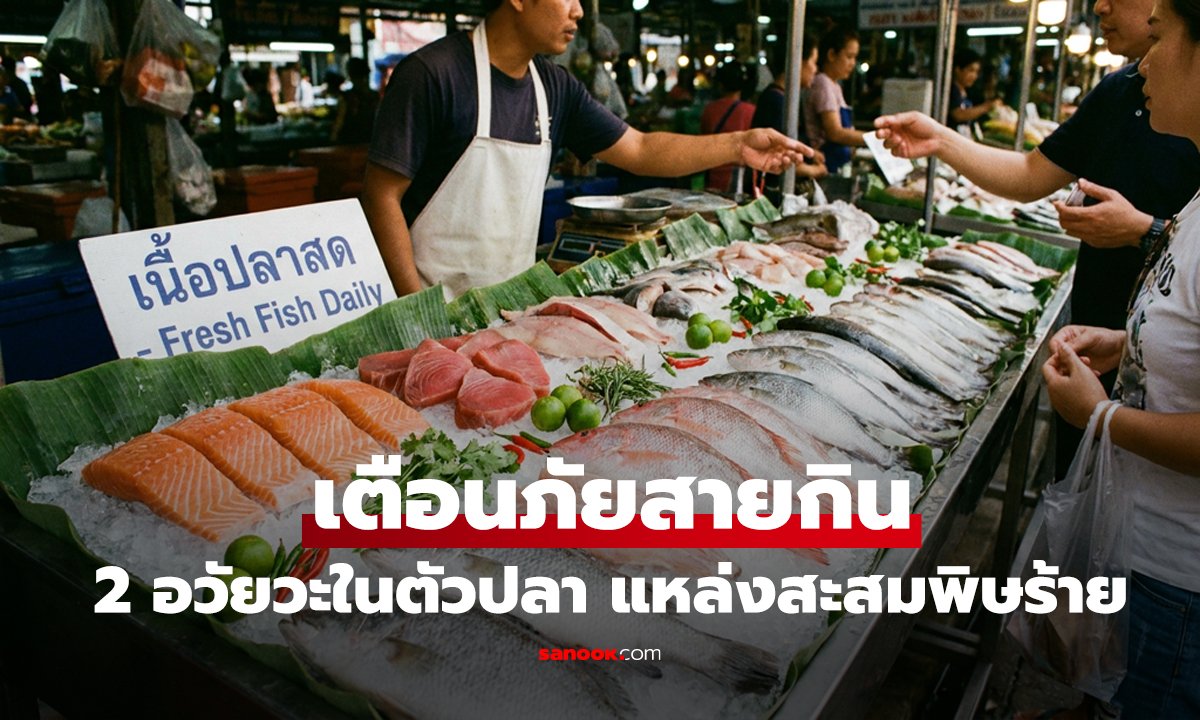 เตือนภัยสายกิน! 2 อวัยวะในตัวปลา แหล่งสะสมพิษร้ายแรงที่สุด ไม่ควรทานเด็ดขาด