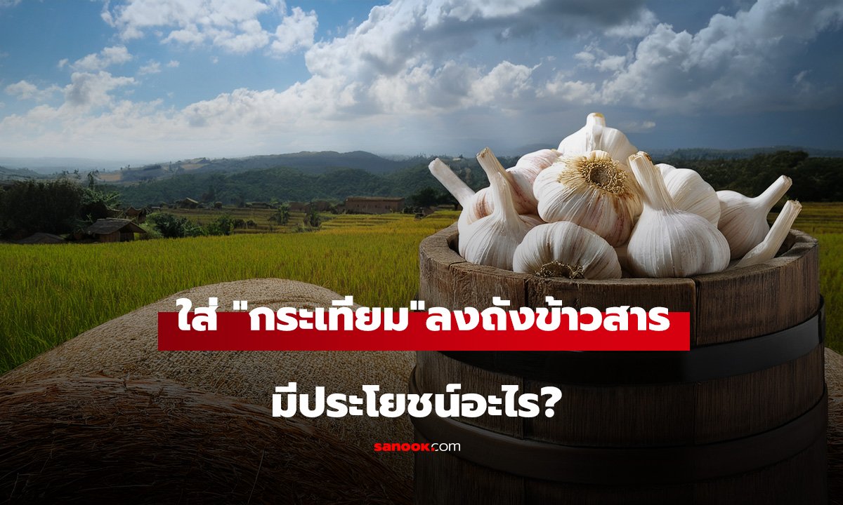 การใส่ 
