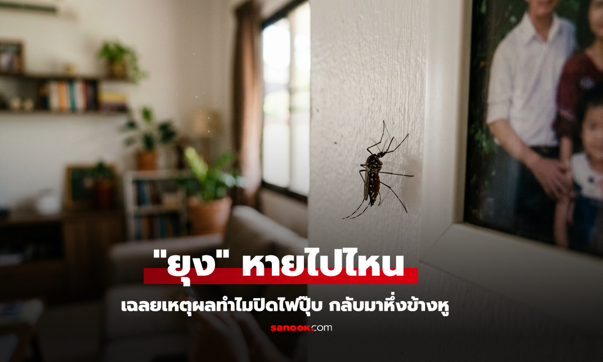 เปิดไฟแล้วยุงหายไปไหน
