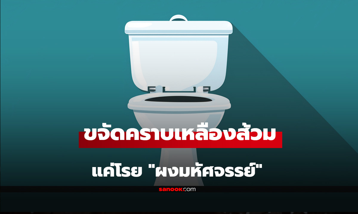 กูรูแนะนำเอง! ขจัดคราบเหลืองส้วม แค่โรย 