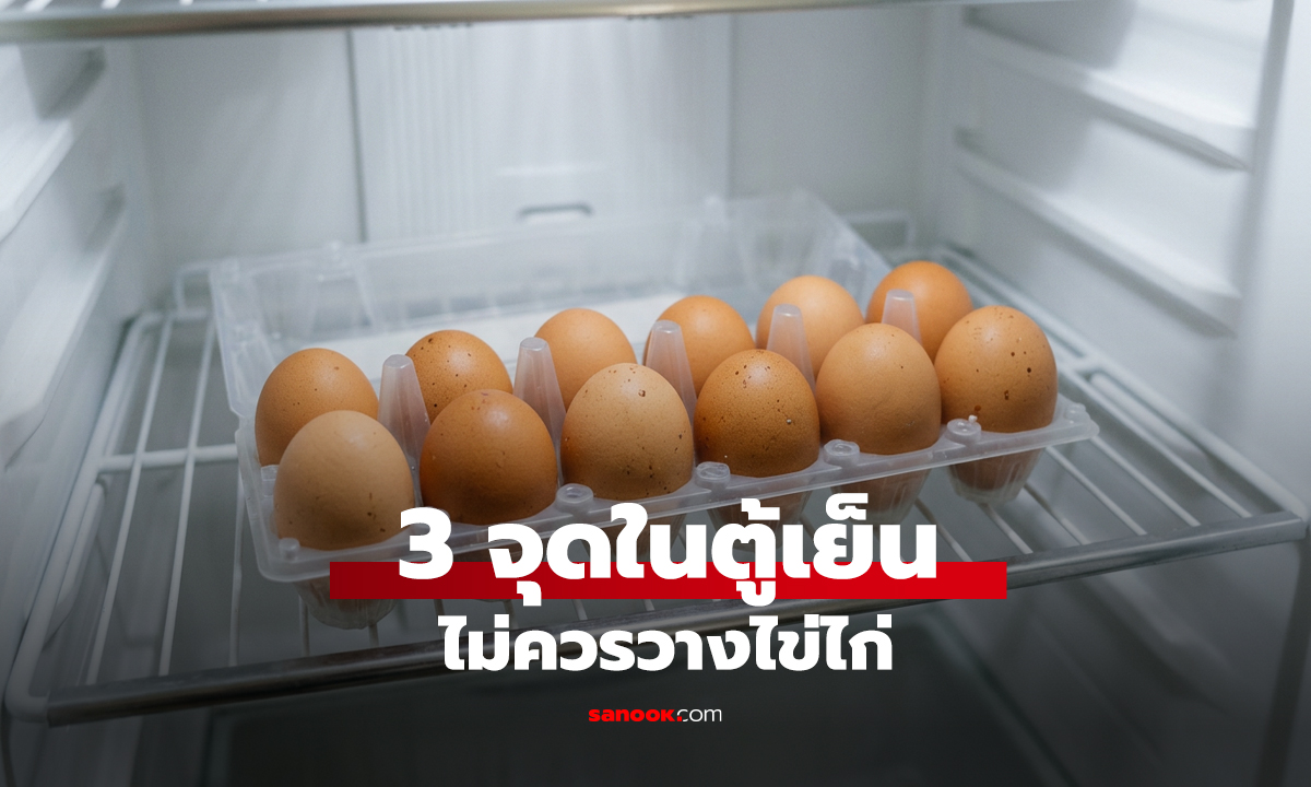 ไม่ใช่แค่ฝาประตู! 3 จุดในตู้เย็น 